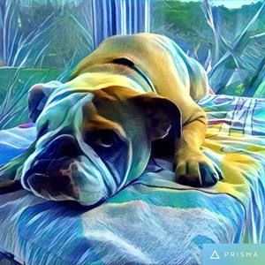 Meet your Posher, Brian